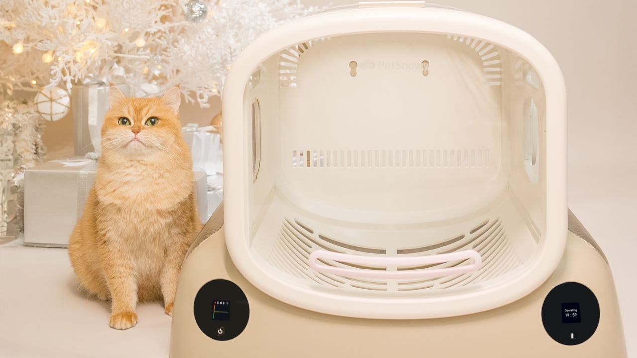 No Electricity, No Worries: Why the PetSnowy Pet Dryer Promises Peace of Mind